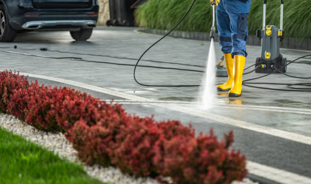 Best Roof Washing  in Fort Payne, AL